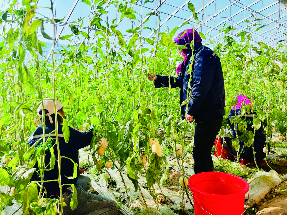 08b9d24e-ce6f-4968-b398-32122d40100f.tif (1).jpg