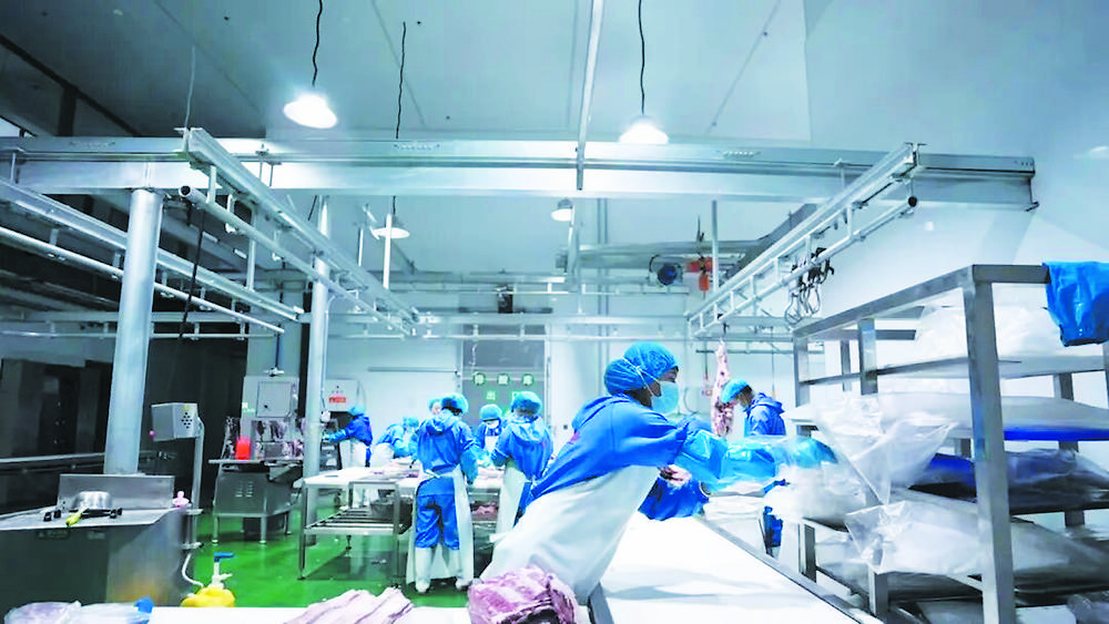 1772500686203535.jpg c0283e29-7051-412d-af2f-02167af2d17c.tif.jpg