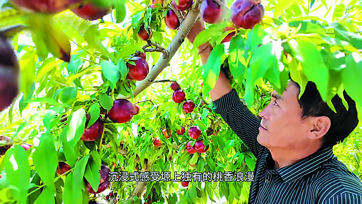 b570d351-a6bf-4cbf-a23e-8ada8de6a130.tif.jpg