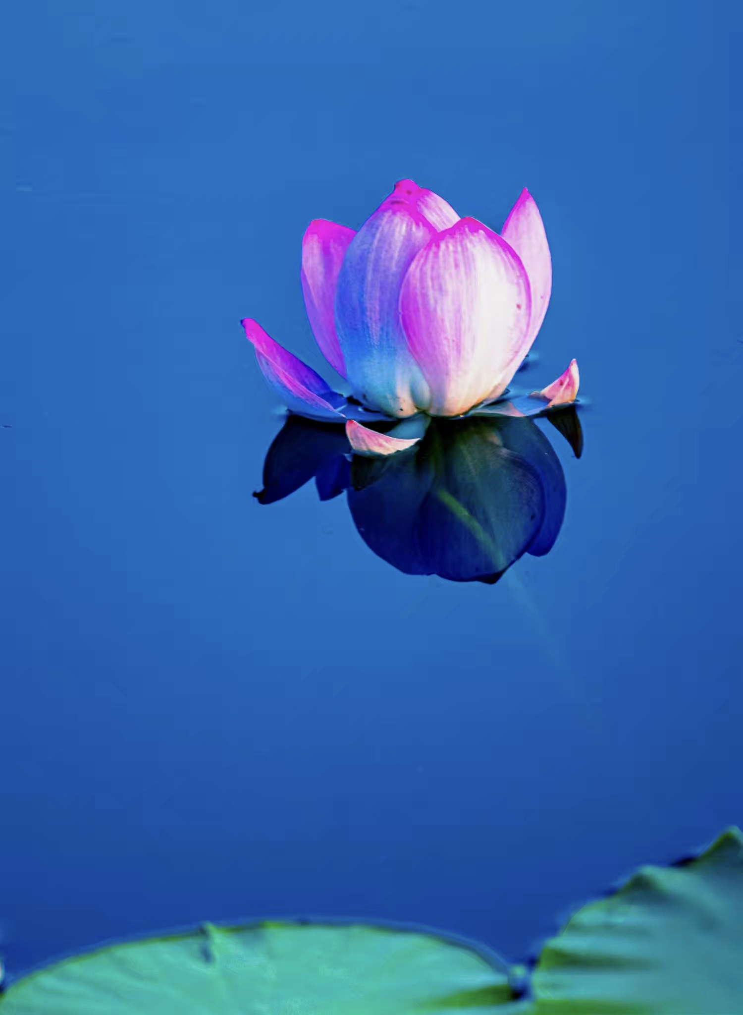 微信图片_20260727105326_1114_17.jpg