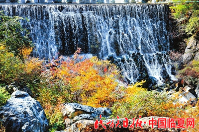 65701506826083250_副本.jpg