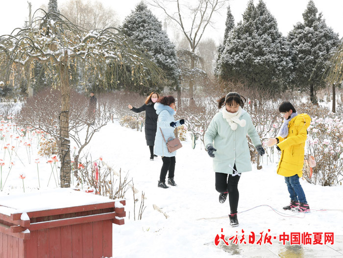 尽情嬉戏.JPG