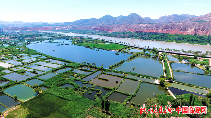 永靖太极岛黄河湿地 史有东摄_副本.jpg
