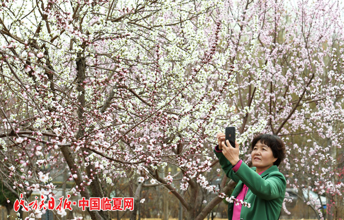 满园春色 史有东摄 (2).jpg