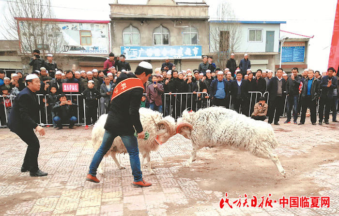 1522806435399933.jpg 1522806435399933.jpg