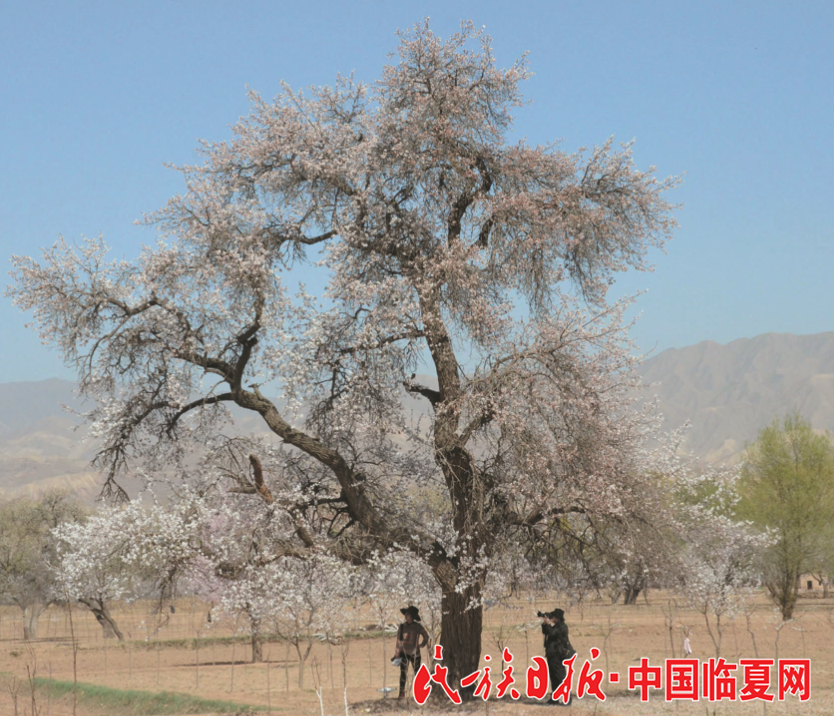 1522807275610595.png 1522807275610595.png