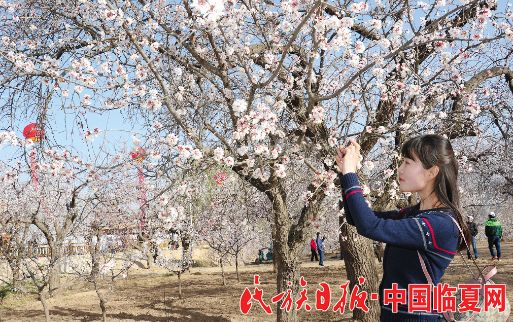 1522807275814294.png 1522807275814294.png