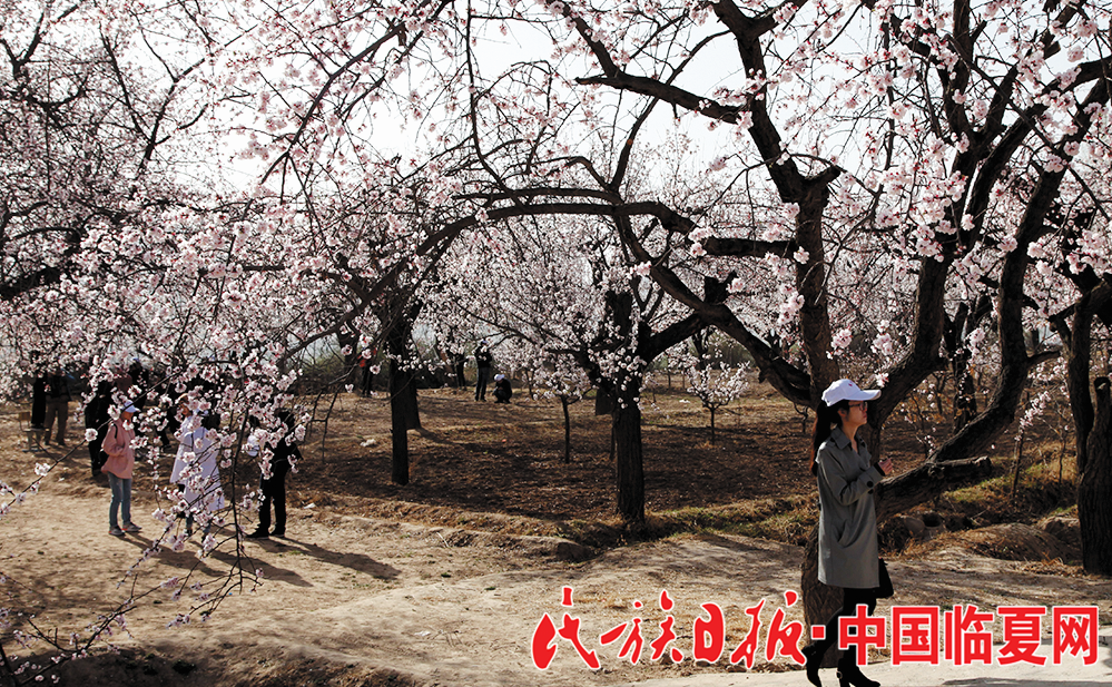 1522807275953257.png 1522807275953257.png