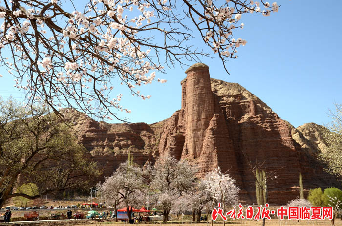 1522833782483841.jpg DSC_5853 700.jpg