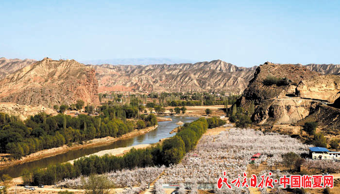 1522833797949091.jpg 麻红梅700.jpg