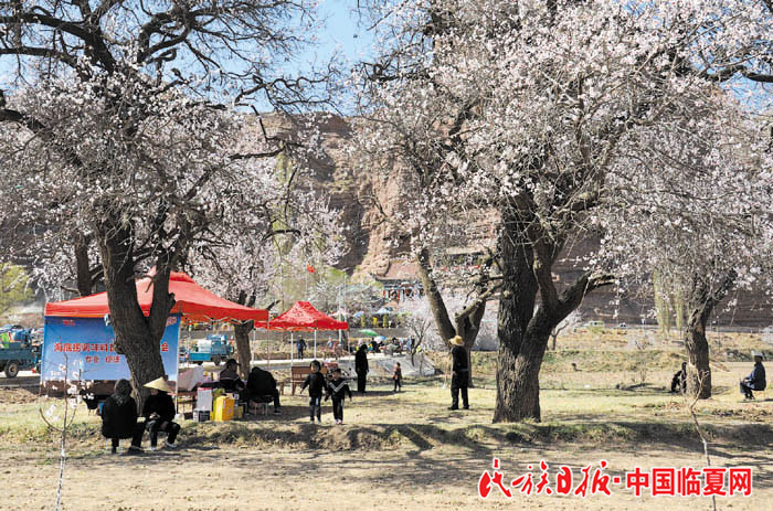 1522833863349459.jpg DSC_5872 700.jpg