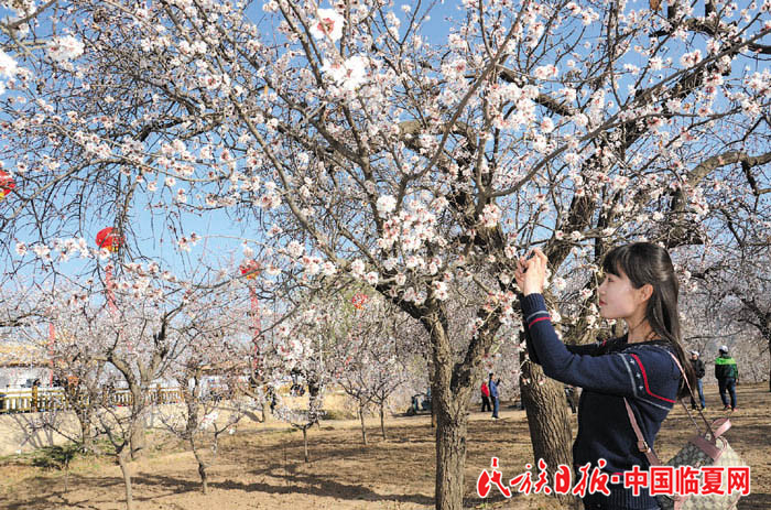 1522833903673969.jpg DSC_5594 700.jpg