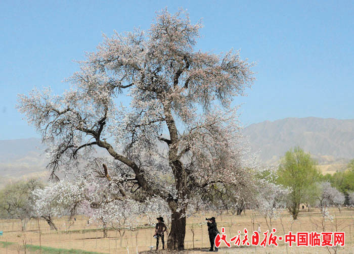 1522833921182282.jpg 陪伴700.jpg