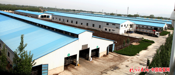 1526865815376402.jpg 麻红梅—现代化牛舍 (1) 700大.jpg