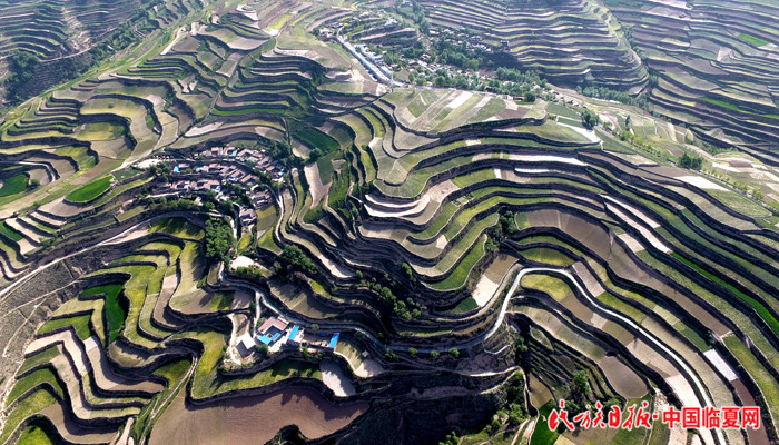 永靖：狠抓山乡生态建设（图）史有东摄 700大.jpg