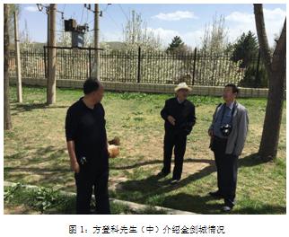 1528686792945224.jpg 1.jpg