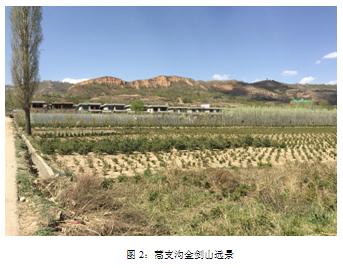 1528686813274632.jpg 2.jpg