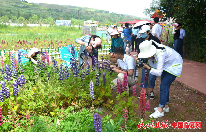 1529892214299834.jpg DSC_1659.JPG