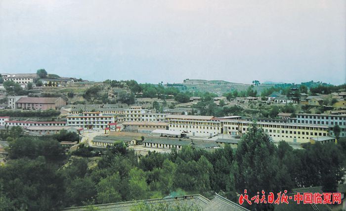 1995年前的东乡县城全貌（资料图片）.jpg 拷贝.jpg