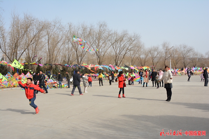 放风筝 马坚强摄.jpg