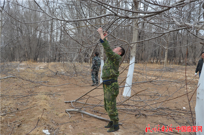 DSC_5030.JPG