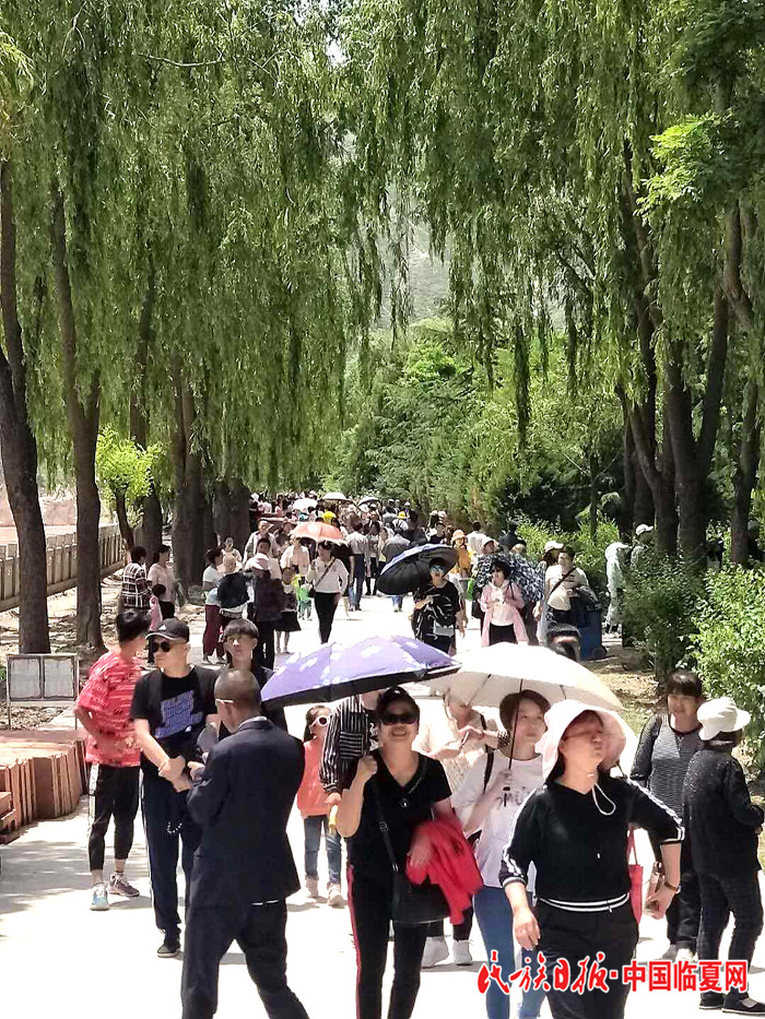 1560221419349740.jpg 微信图片_20190610115627.jpg