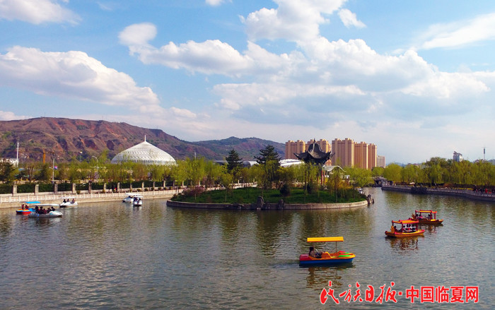 QQ图片20190813204619.jpg