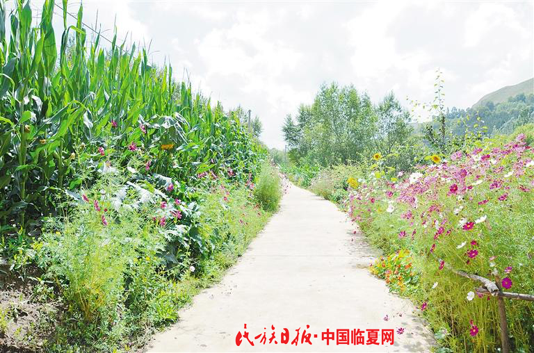 a96b1b85-58d7-4abe-883e-9077de035aca.jpg