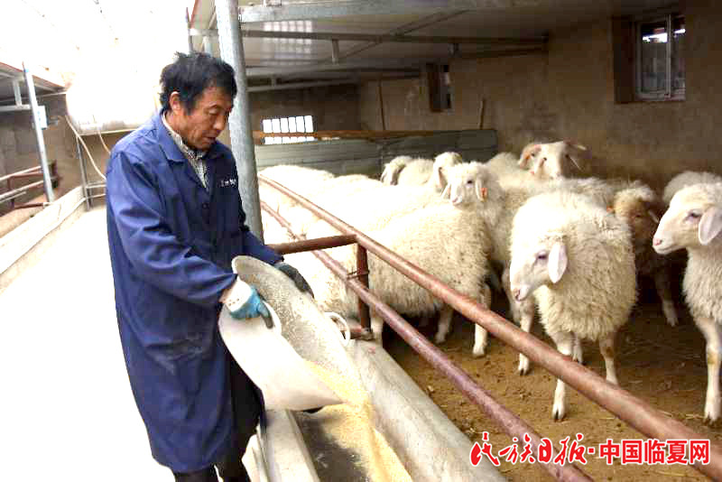 QQ图片20201008202301.jpg