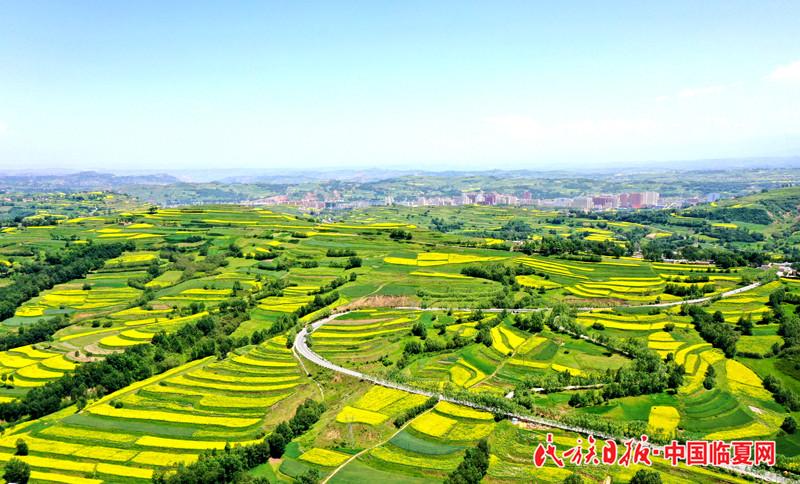 DJI_0738.JPG