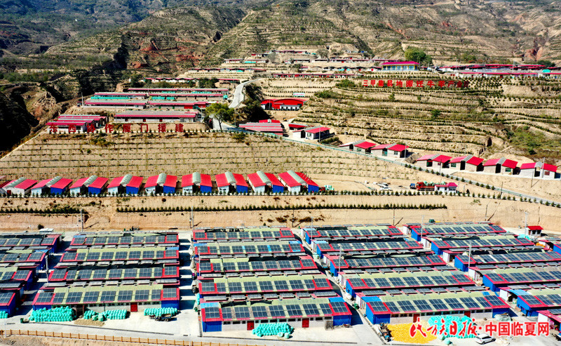 DJI_0010.JPG