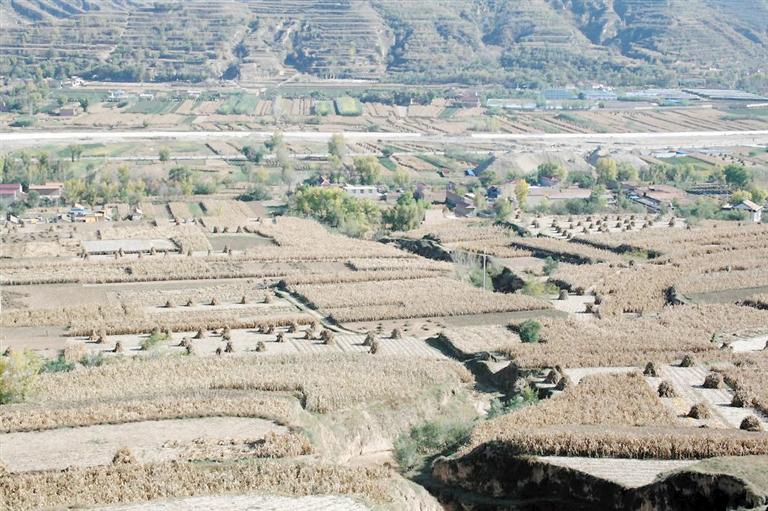 1606205978260494.jpg 1606205978260494.jpg