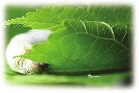 1622510675922271.jpg 5020a1eb-0ecb-45d0-8c69-d8e729ef05fb.jpg.jpg