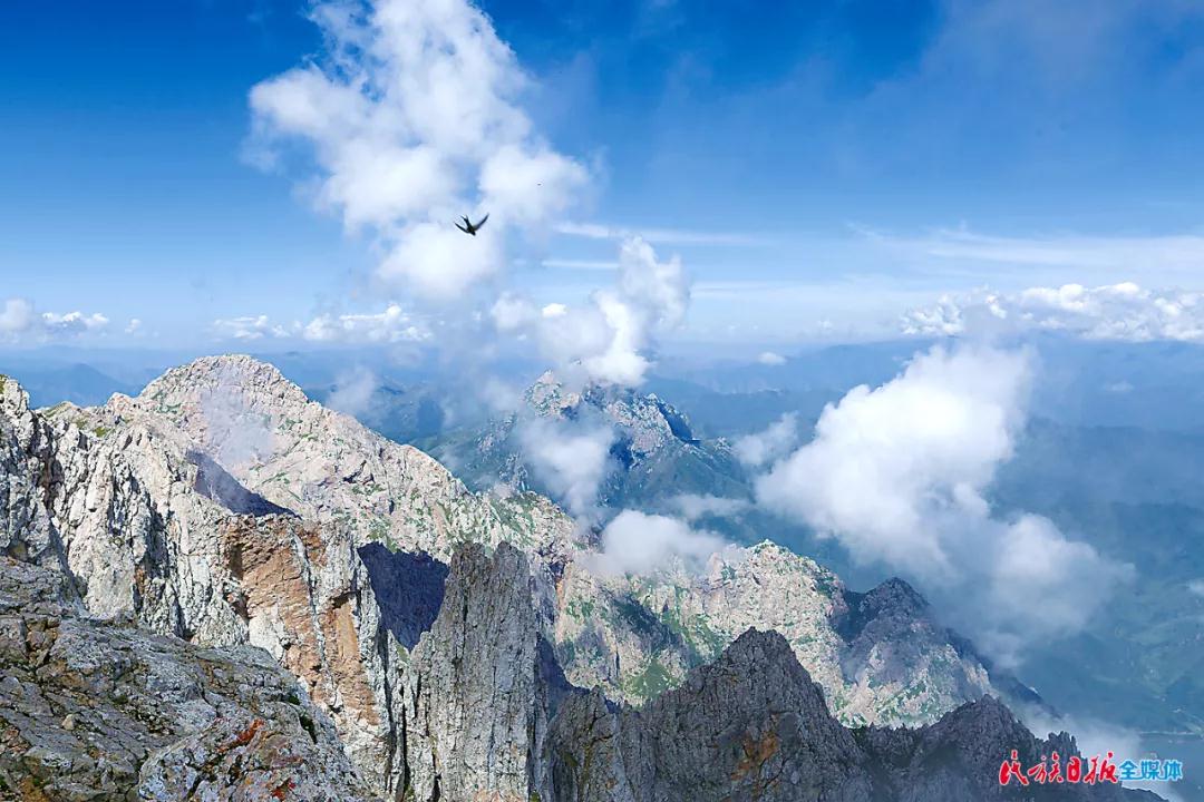 1622705052499180.jpg 1622705052499180.jpg