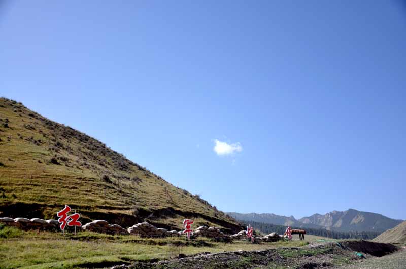 1631070664112838.jpg 3.jpg