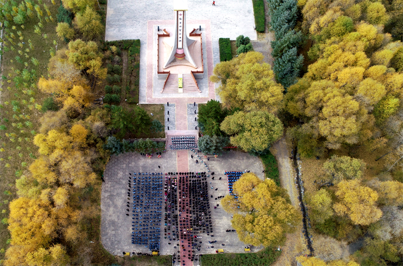 1631070705552775.png 9.png