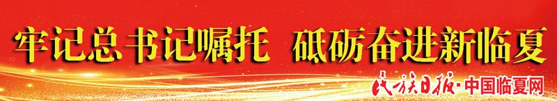 牢记总书记嘱托 砥砺奋进新临夏_副本.jpg
