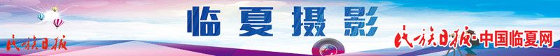 临夏摄影_副本.jpg