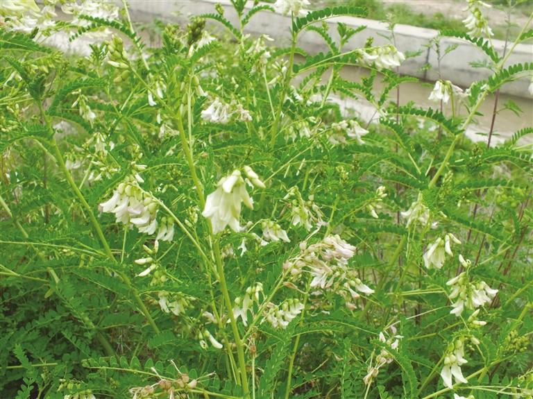 1632449685192988.jpg 24d6f02c-8561-4636-b557-242ce886acc7.jpg.jpg