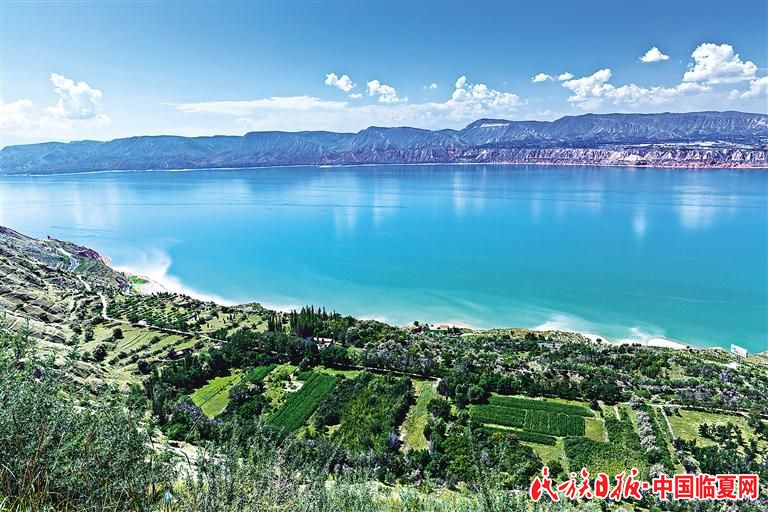 1634652941655739.jpg 1634606900462058.jpg