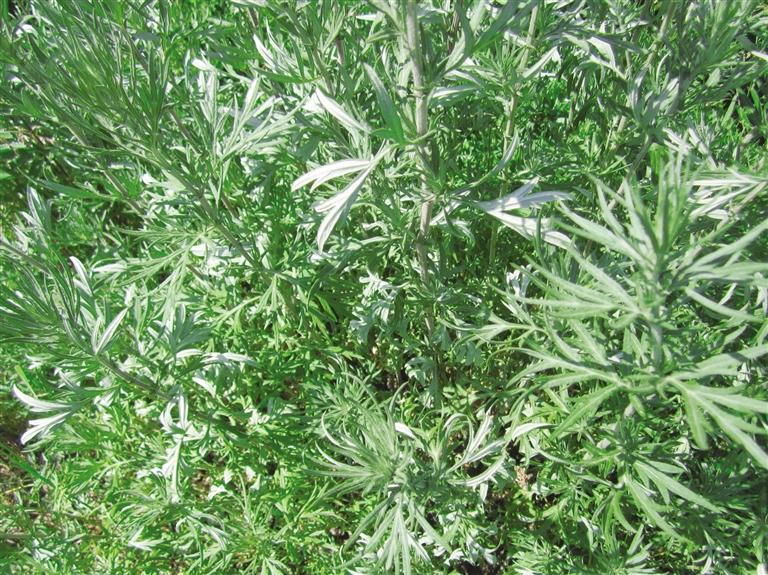 1640223185591237.jpg 1640223185591237.jpg