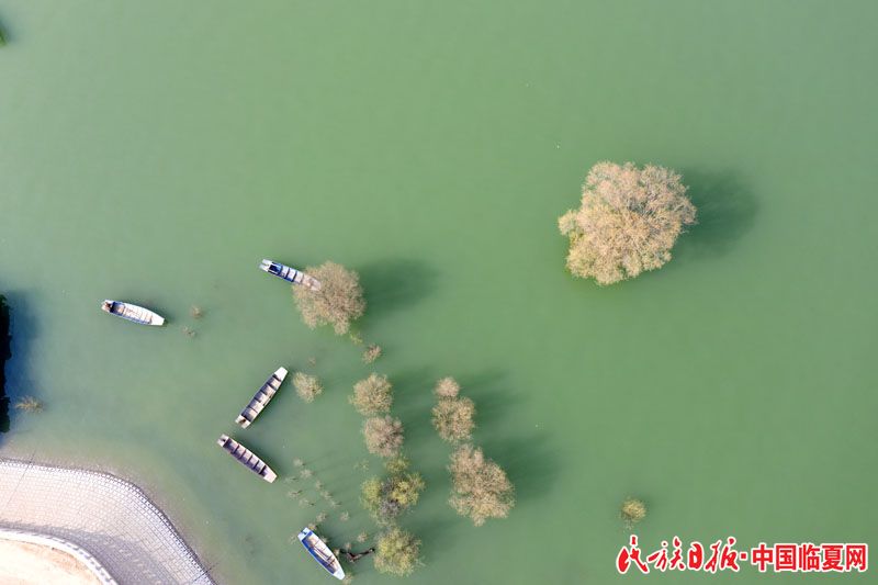 DJI_0575.jpg