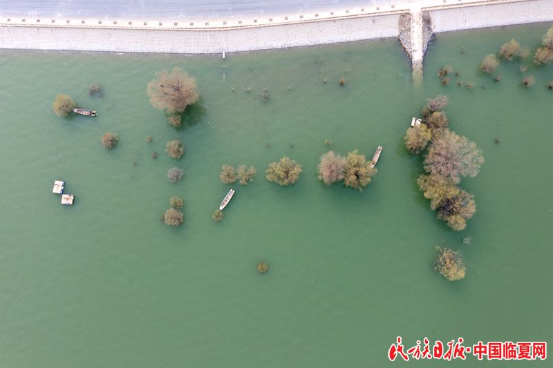 DJI_0557.jpg