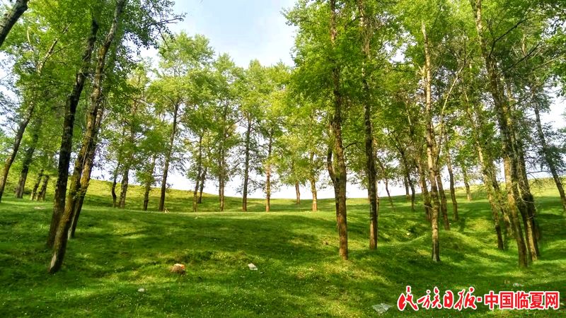半苍岭 (1).jpg