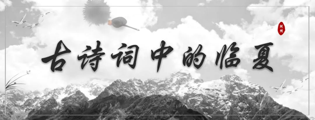 1656896009524001.jpg 1656896009524001.jpg