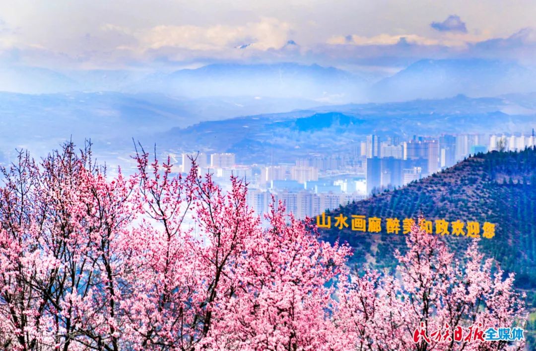 1656896175277105.jpg 1656896175277105.jpg