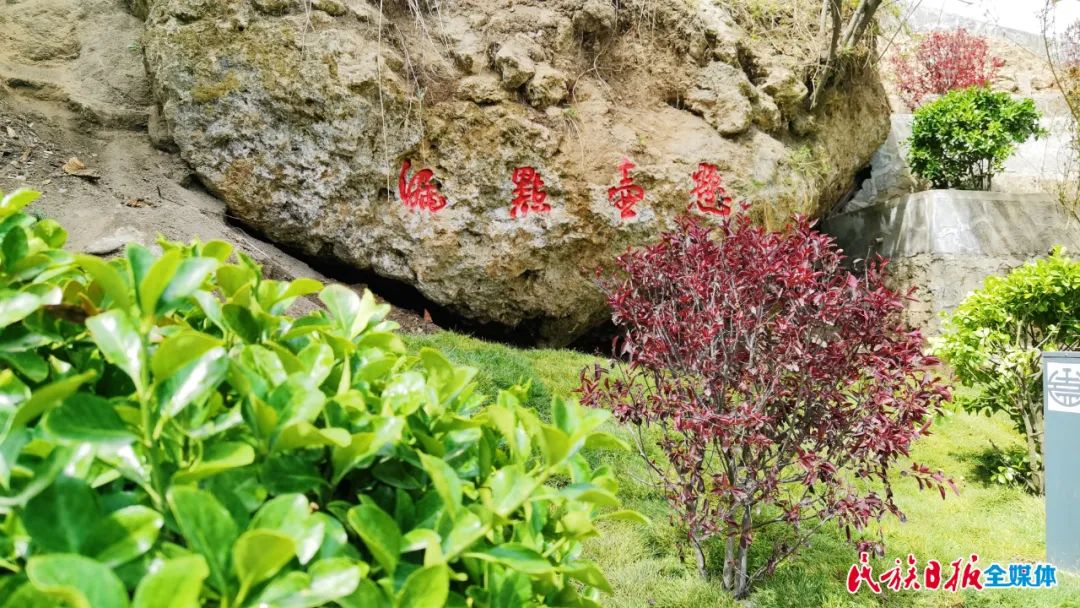 1656896205340217.jpg 1656896205340217.jpg