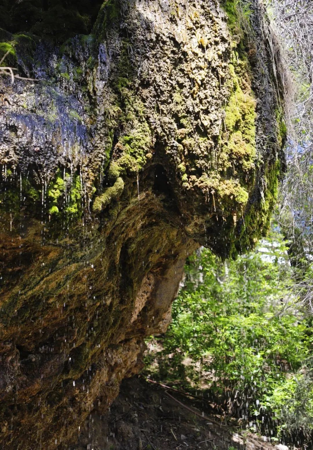 1656896299193603.jpg 1656896299193603.jpg