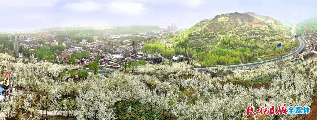 1656896421529145.jpg 1656896421529145.jpg