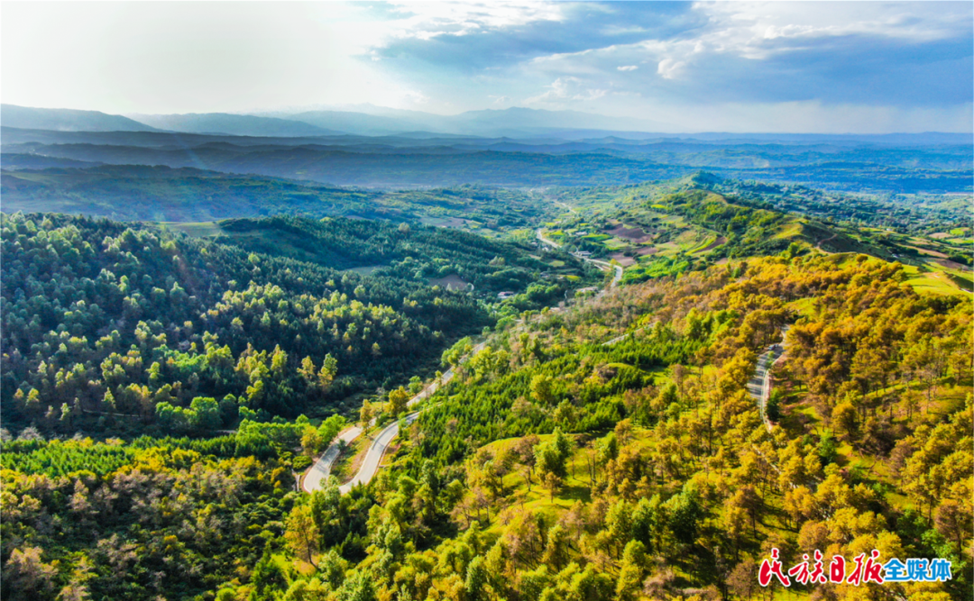 1656896614488876.png 1656896614488876.png